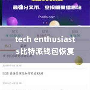 tech enthusiasts比特派钱包恢复